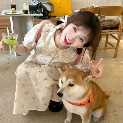 江原道之力